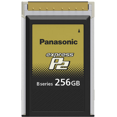 256GB B Series expressP2 Memory Card for VariCam Series